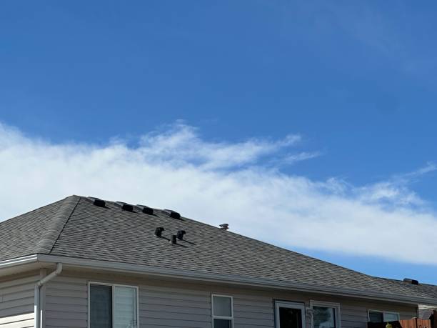 Emergency Roof Repair in Hiram, GA